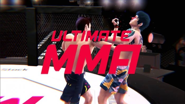 Ultimate MMA